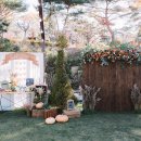 허브캐슬 이미지