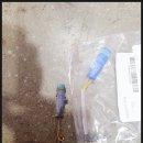 세일카센타 이미지