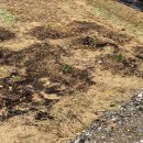 공수농장 이미지