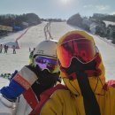 비발디렌통령 이미지