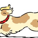 복슬강아지 이미지