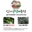 곤달비 이미지