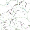 숲속의 둥지 이미지