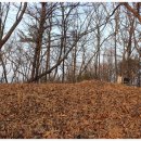 월산1리 이미지