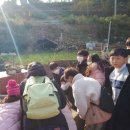 선소경로당 네이버블로그