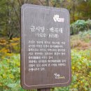 백곡재