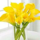 러브카페 이미지