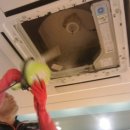 뚜레쥬르 영도동삼점 이미지