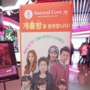 [관람후기]영화-개를 훔치는 완벽한 방법