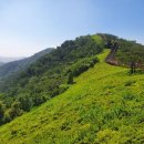 고비고개로 이미지