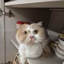 라벨팜므 산후조리원 이미지