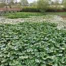 수변2공원 이미지