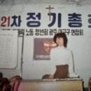 김성애