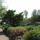 서울성북초등학교 이미지