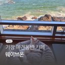 GR(부산광역시 기장군)-[해맞이로]-상-7 | 부산 기장 애견동반 카페, 웨이브온 별채 오션뷰 이용 후기