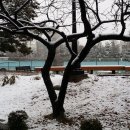 석천공원 이미지