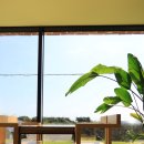 데이앤데이(day&day) 이미지