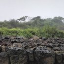 바다가 보이는 정원 이미지