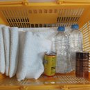 투유무인텔 이미지