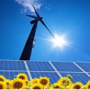 리서 태양광발전소 이미지