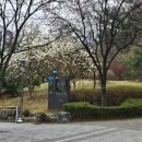 한울빛도서관 이미지