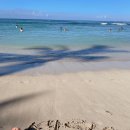 (주)세림여행 Daum카페
