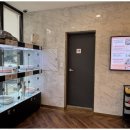 대구펫 강아지분양 고양이분양 이미지