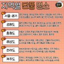 2023 지역별 단풍시기 & 명소 이미지