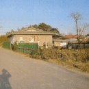 양지-3556 이미지