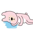 울산영상의학과의원 이미지