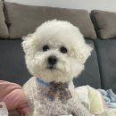 주식회사 알파사료 | 국개대표 올바른끼니 알파 후기