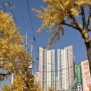 부평큰약국 | 더샵 부평 센트럴시티 민간임대 59A타입 일반공급 사전점검 후기