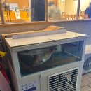 세츠 | 대구 동성로 신상 스시집 스시세츠 내돈내산 후기