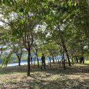 솔밭휴게소화장실 이미지