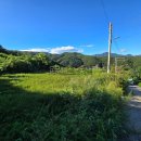 용문목장 이미지