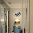 분당연세독수리안과의원 | (남편이 받은) 판교연세독수리안과 라섹 검사 및 수술 당일 후기 ①