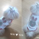 까까쟁이 - 미추홀구 | 까까쟁이