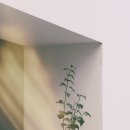 행복이가득한서울약국 이미지