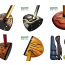 아싸골프 이미지