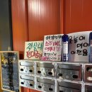 국화 | [🏡국화도 숙소 추천]국화도 여행 숙소 어디가 좋을까? 국화펜션 내돈내산 후기