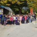 장관식복싱GYM 이미지