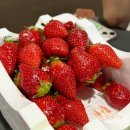 다영농장 이미지