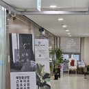 [마곡 발산] 도프핸테라피 스웨디시 마사지 후기
