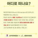헬로여행사