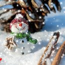 눈결정 내리기(허영일) 이미지