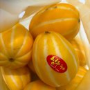 의정부본플란트치과의원 이미지