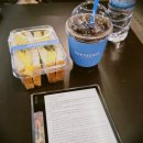 275 | 제주도 혼자 3박4일 여행 기록 Day1. 이스타항공 김포-제주 ZE275 탑승후기