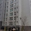 대모초등학교 이미지