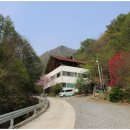 단양펜션구구산장 이미지