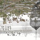 심정농장 이미지